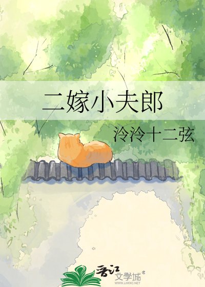 二嫁小夫郎