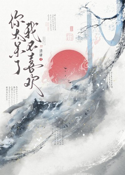 你太呆了，我不喜欢