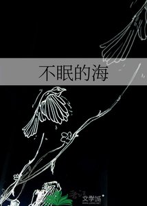 不眠的海